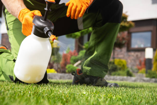 Best Insect Control  in Middletown, NY