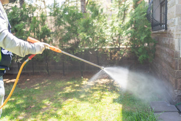 Pest Prevention Services in Middletown, NY