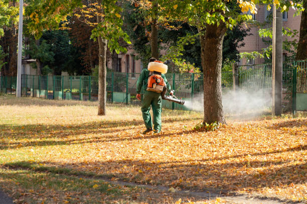 Best Commercial Pest Control Services  in Middletown, NY