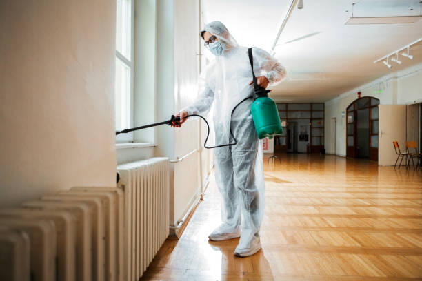Best Affordable Pest Control Services  in Middletown, NY
