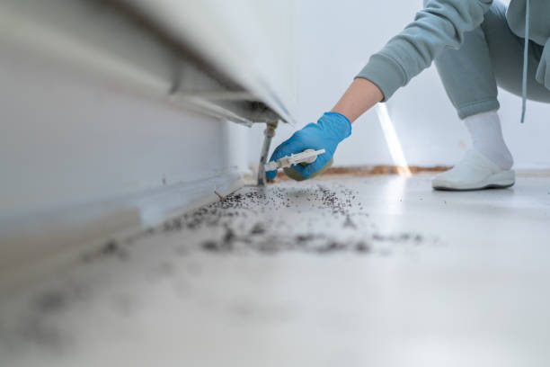 Best Best Pest Control Companies  in Middletown, NY